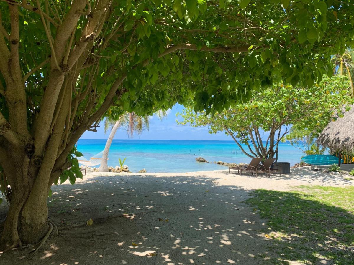 Le Coconut Lodge Avatoru ภายนอก รูปภาพ